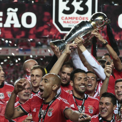 Benfica 2013-14 season summary