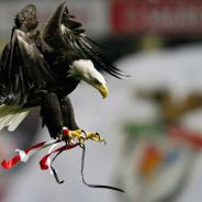 Episode 236 – From C@*$lh0, to Carvalho!!!!